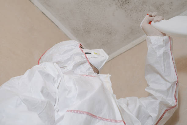 Best Crawl Space Mold Remediation in Pleasant Hill, MS