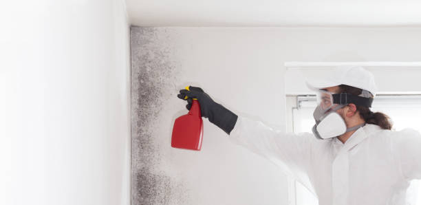 Pleasant Hill, MS Mold Remediation Company