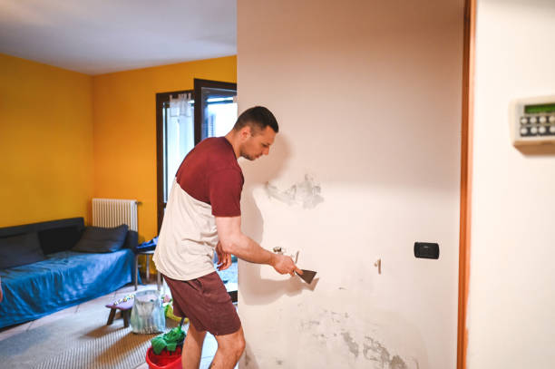 Best Residential Mold Remediation in Pleasant Hill, MS